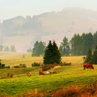 Pastva v Dolomitech
