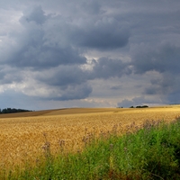 Před bouřkou