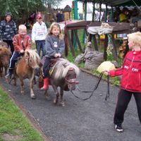 Pony expres