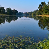 Přes rybník