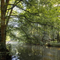 klidná řeka