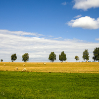 Letní pohoda