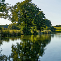Stromořadí 
