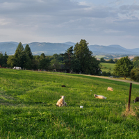 Beskydská