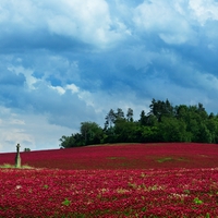 Inkarnát v krajině