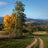 Slunečné odpoledne
