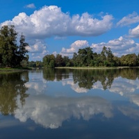 V zrcadle