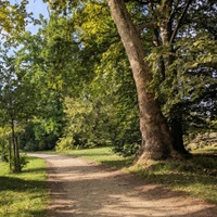 V parku