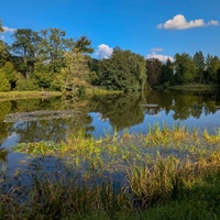 V září