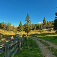 Velika Planina