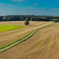 z rozhledny
