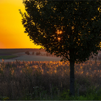 Podvečer.