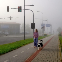 Ranní povinost..