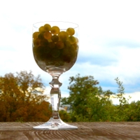 Dvě deci bílého II.