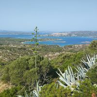 Barvy Sardinie