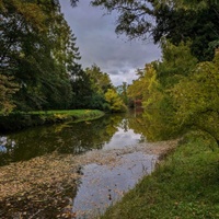 Zamračený den