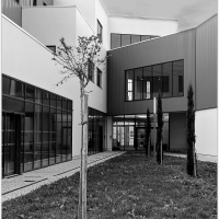 architektura
