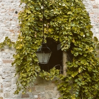 lampa