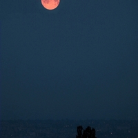  A z té naší lásky zbyly jen ty topoly ...