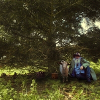 Tam někde v trávě pod jedlí ...