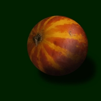  Nevímco obecné [Nescioquid communis Q. et Nig.]