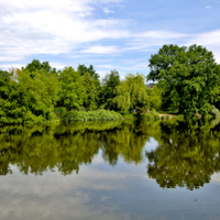 Zrcadlení 