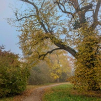 Podzimní chodníček