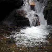 jaro na Bílé Opavě