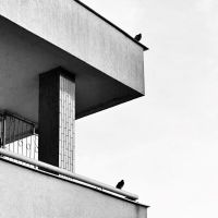 ** tichá domácnost **