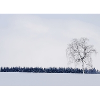 .............l..........