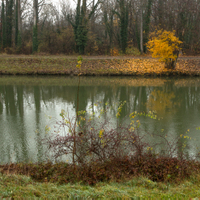 12:25 Podzimní řeka 