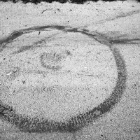 divočina na cestě 29