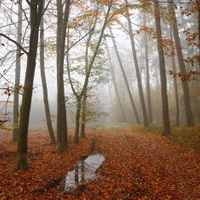 kouzlo s kapkou vody