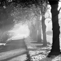 .. zima ve slunečním závoji ..