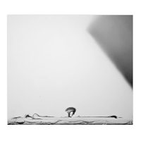 strčit hlavu do písku.