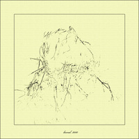 nedokončený portrét