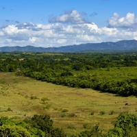 Údolí cukrovarníků