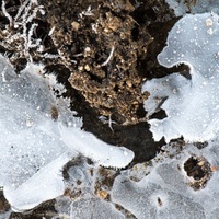 naštvanej a králíček