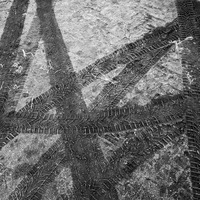 divočina na cestě 31