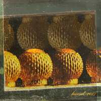 skleněné kaktusy za oknem