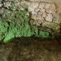 Studánka svatého Ivana