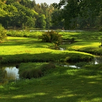 ...zámecký park Štiřín...
