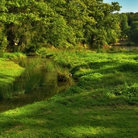 ...zámecký park Štiřín...(3)