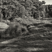 ...zámecký park Štiřín...(4)