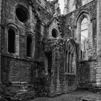 ...Fountains Abbey...(7)