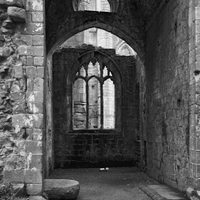 ...Fountains Abbey...(9)