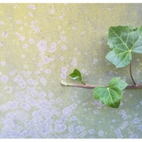 Chuť do života