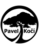 PavelKočí (ID 100280)