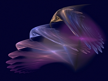 Obraz Andělská křídla