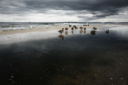 Obraz Ostsee